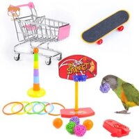 Quen Chim Đồ Chơi 4 Loại Vẹt Bộ Đồ Chơi Bao Gồm Bóng Rổ Đồ Chơi Ván Trượt Xếp Chồng Đồ Chơi Xe Đẩy Kim Loại Đồ Chơi Bouncer Đồ Chơi