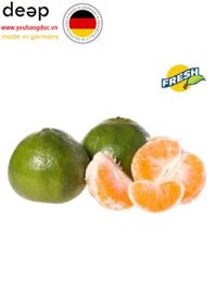 Quýt đường Hiếu Liêm (1Kg) DEEP41 www.yeuhangduc.vn sẵn sàng cho bạn