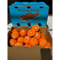 Quýt Úc - Citrus (kg)[Hoả Tốc]