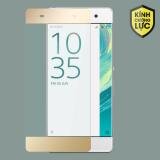 Miếng dán màn hình Sony Xperia XA - F3116