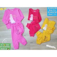 R240042M - Bộ nỉ da cá , bé gái, bo gấu in Elsa, size 2t-6t, ri5, nhà cung cấp Vkids [Buôn_sỉ_Vkids]