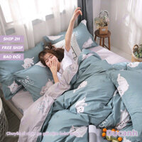 Ra Nệm Cotton Poly | 2 Mặt Kéo Khóa | 1m 1m2 1m4 1m6 1m8 | Nệm Dưới 10cm | DUCANH