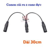 Rắc chia tín hiệu rắc canon cái ra 2 rắc canon đực, dài 30cm, rắc chia, jack XLR, tín hiệu âm thanh, dây rắc chia