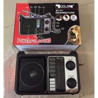 Radio GOLON RX-333