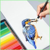 Ran 12 36 72 120 Chiếc Bộ Bút Chì Màu Dầu Lõi Dày Nghệ Thuật Phác Thảo Vẽ Tay Màu Bộ Bút Để Tô Màu Vẽ