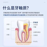 Răng Miệng cố định, đau nhức, sửa chữa, tươi mới, chứa Flo, Chống nhạy cảm "cũng còn trong kho" Kem đánh răng bảo vệ men răng 8.1EIZI