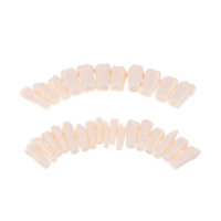 Răng nhựa  dùng tự học dành cho phục hình , mài cùi , trám răng , tạo xoang