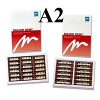 Răng nhựa giả tháo lắp màu A2 siêu cứng 3 lớp Major Dent Italy Artificial Teeth