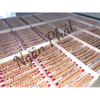 Răng nhựa KENSON chuyên dùng trong labo (loại II)