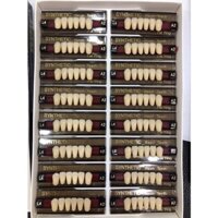 Răng nhựa tháo lắp cửa ( Hộp )