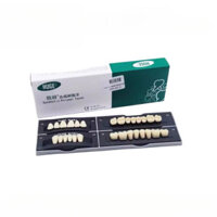 Răng thép nhựa khổng lồ Kaifeng nhựa tổng hợp răng giả đầy đủ nhựa nhựa răng giả nha khoa acrylic răng