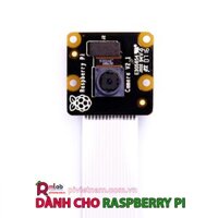 Raspberry Pi Camera Module NoIR V2 8 Megapixel (Bảo hành 6 tháng)