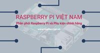 Raspberry Pi Camera Module chính hãng V1 5MP