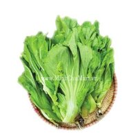 Rau cải bẹ xanh Đà Lạt