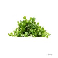 Rau cải xoong sach an toàn 500Gr