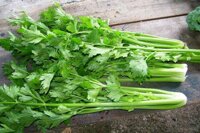 Rau cần tàu sạch (mùi tây)