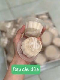Rau câu dừa ly