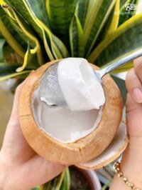 Rau câu trái dừa 50k/2quả