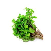 Rau Húng Lủi VietRAT Gói 100g