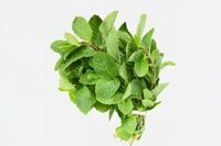 Rau húng xoăn- húng lủi – mớ