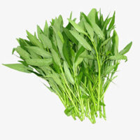 Rau muống hướng hữu cơ theo tiêu chuẩn PGS Genki Farm