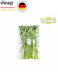 Rau muống hữu cơ USDA Food King (Bịch 0.25KG) DEEP41 www.yeuhangduc.vn sẵn sàng cho bạn