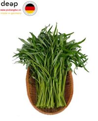 Rau Muống Hữu Cơ Vinamit 300G DEEP37 www.yeuhangduc.vn sẵn sàng cho bạn