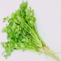 RAU NGÒ RÍ AN TOÀN VIETGAP (50G)