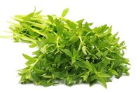 Rau om (Rau ngổ thơm)