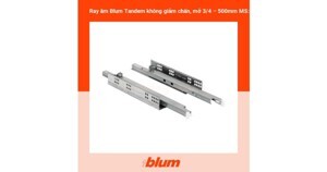 Ray âm Blum Tandem 423.53.515