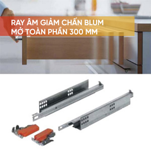 Ray âm giảm chấn Hafele 423.54.730
