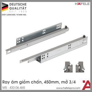 Ray âm giảm chấn Hafele 433.06.465