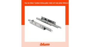 Ray âm không giảm chấn Blum 423.54.514