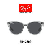 Ray · Ban-rb4379d-sunglasses