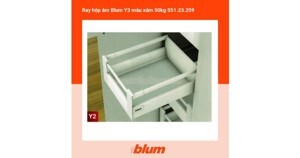 Ray hộp âm Blum Y3 50kg 551.23.259