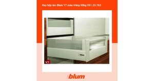 Ray hộp âm Blum Y7 50kg 551.23.763