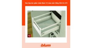 Ray hộp âm giảm chấn Blum Y2 550.94.275