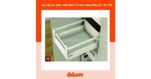 Ray hộp âm giảm chấn Blum Y3 50kg 551.23.759