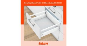 Ray hộp Blum 550.85.365