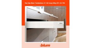 Ray hộp Blum Tandembox X1 551.23.750