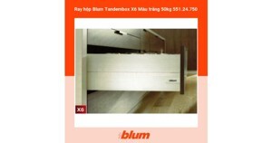 Ray hộp Blum Tandembox X6 551.24.750