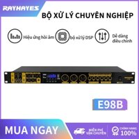 Rayhayes Mic Trộn bộ khuếch đại thiết bị âm thanh chuyên nghiệp Bluetooth USB không dây cho KTV Karaoke lọc xì equalizer