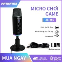 RAYHAYES Podcast Dynamic Microphone USB chế độ kép Mic RGB USB Gaming Mic For Smart Phone, Computer