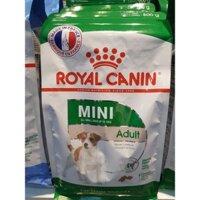 RC mini adult 800gr