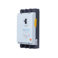 RCD CHINT DZ15LE-100/490