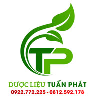 Rễ Cây Cau tươi (Rễ Cau tươi)