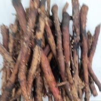 Rễ Cây Dừa tươi 1kg
