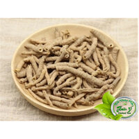 Rễ Cây Viễn Chí khô sạch