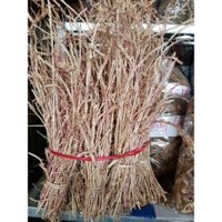 Rễ cỏ tranh -Bạch mao căn (rễ cỏ tranh)