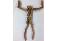 Rễ hồng sâm Hàn Quốc